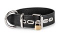 38mm Bondage Collar soft leather with D~Ring