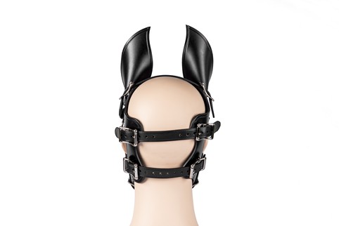 Ponyboy Ponygirl Head Harness #4