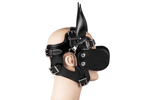 Ponyboy Ponygirl Head Harness #5