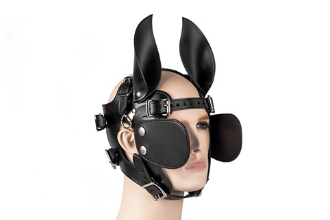 Ponyboy Ponygirl Head Harness #6