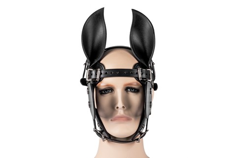 Ponyboy Ponygirl Head Harness