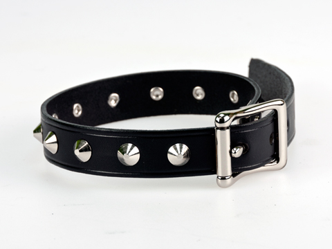 19mm Armband with Single Row Dog Studs