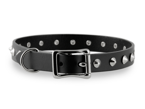 19mm Bondage Collar with D~Ring and Dog Studs
