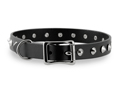 19mm Bondage Collar with D~Ring and Dog Studs